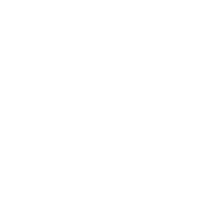 Vida