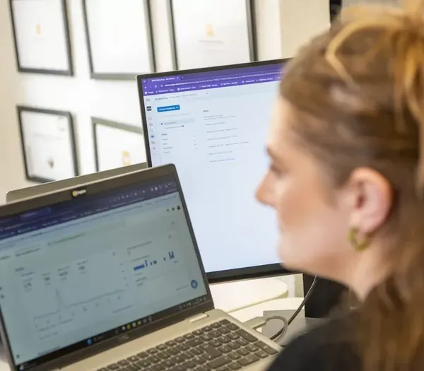 Phoebe, monitoring ways to improve SEO on a site.