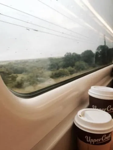 Train to Google Search Bootcamp.