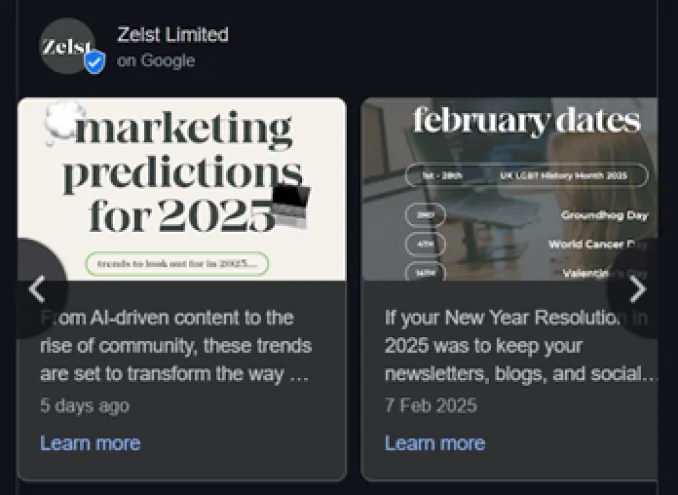 Zelst's Google Business Profile Updates.