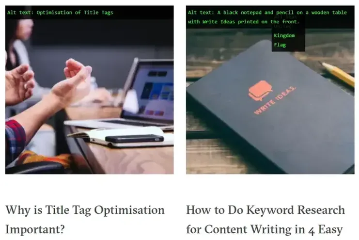 The image alt text viewer extension displaying an image's alternate text.