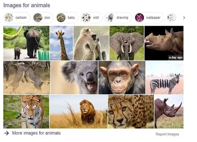 Google's image pack for animals.