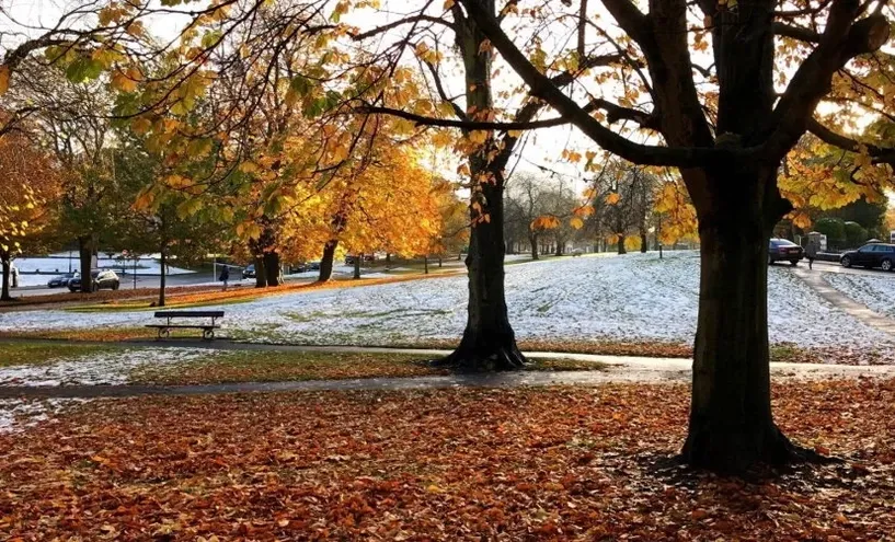 The Stray, located in Harrogate.