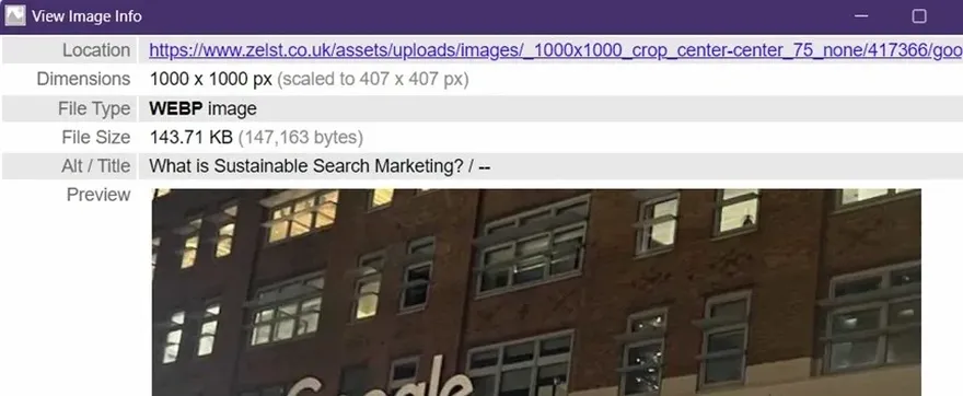 The View Image Info extension examining the dimensions and file type of an image.
