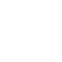 Blossom Home Care logo - Featured PPC and digital strategy client of Zelst